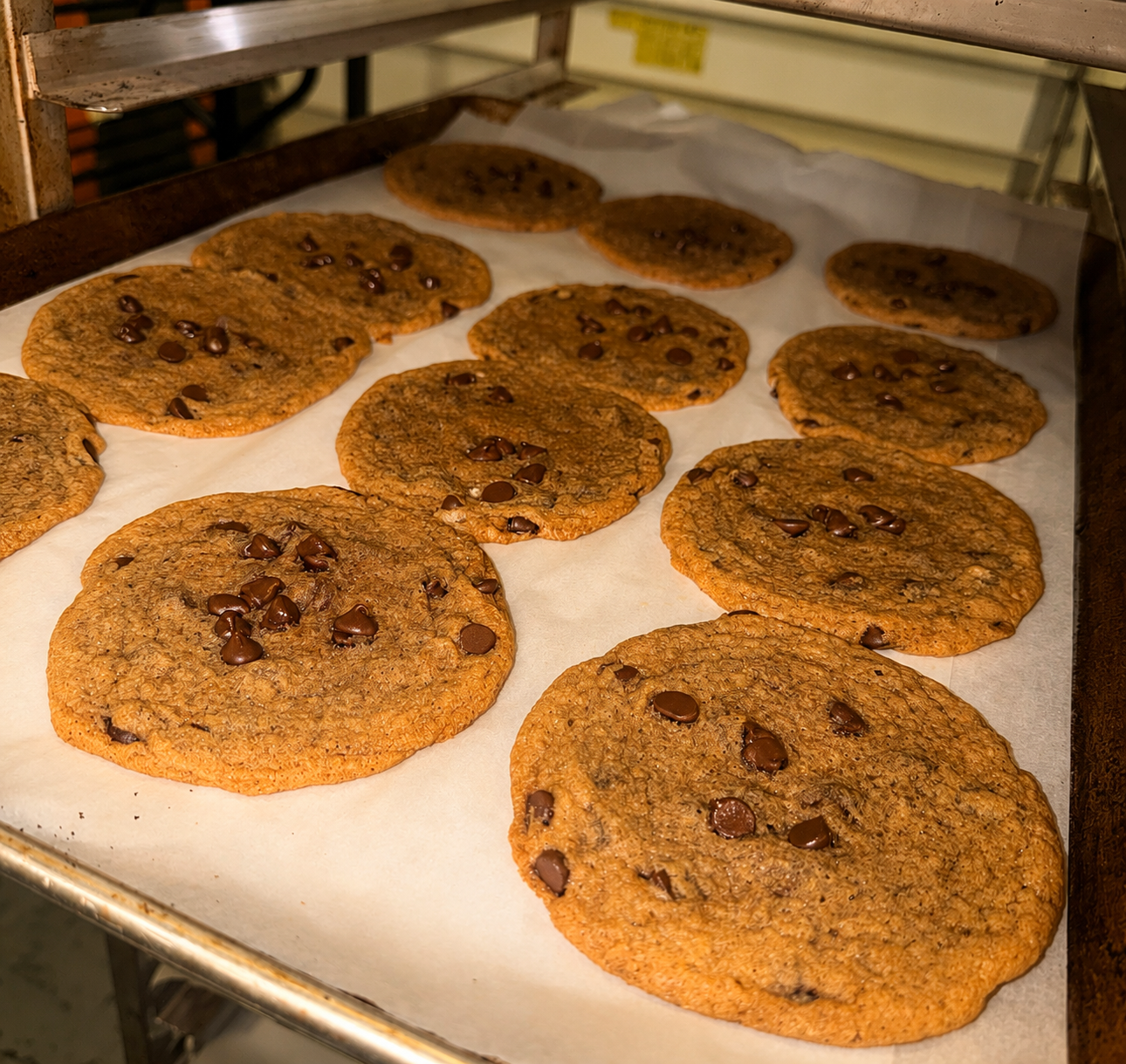 Chocolate Chip Cookies 6-Pack - $1 PER COOKIE CLOSEOUT SALE
