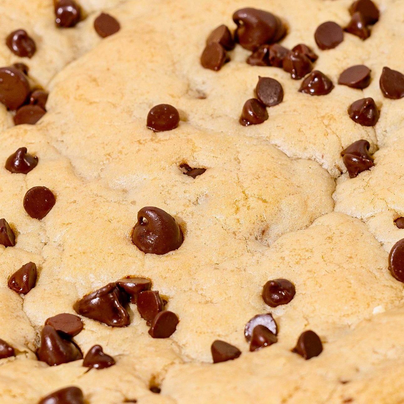 The Ultimate Cookie Cake