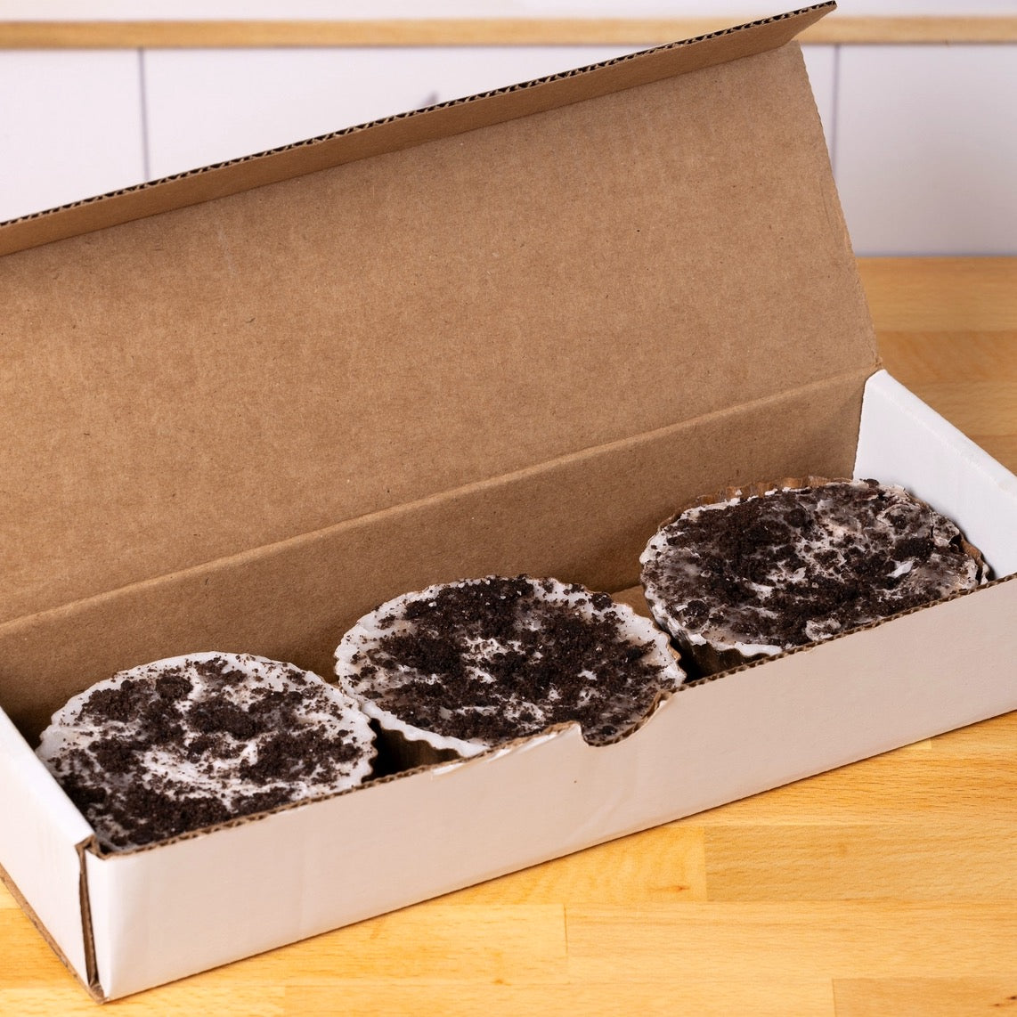 The Classics - Fudge Cups Bundle