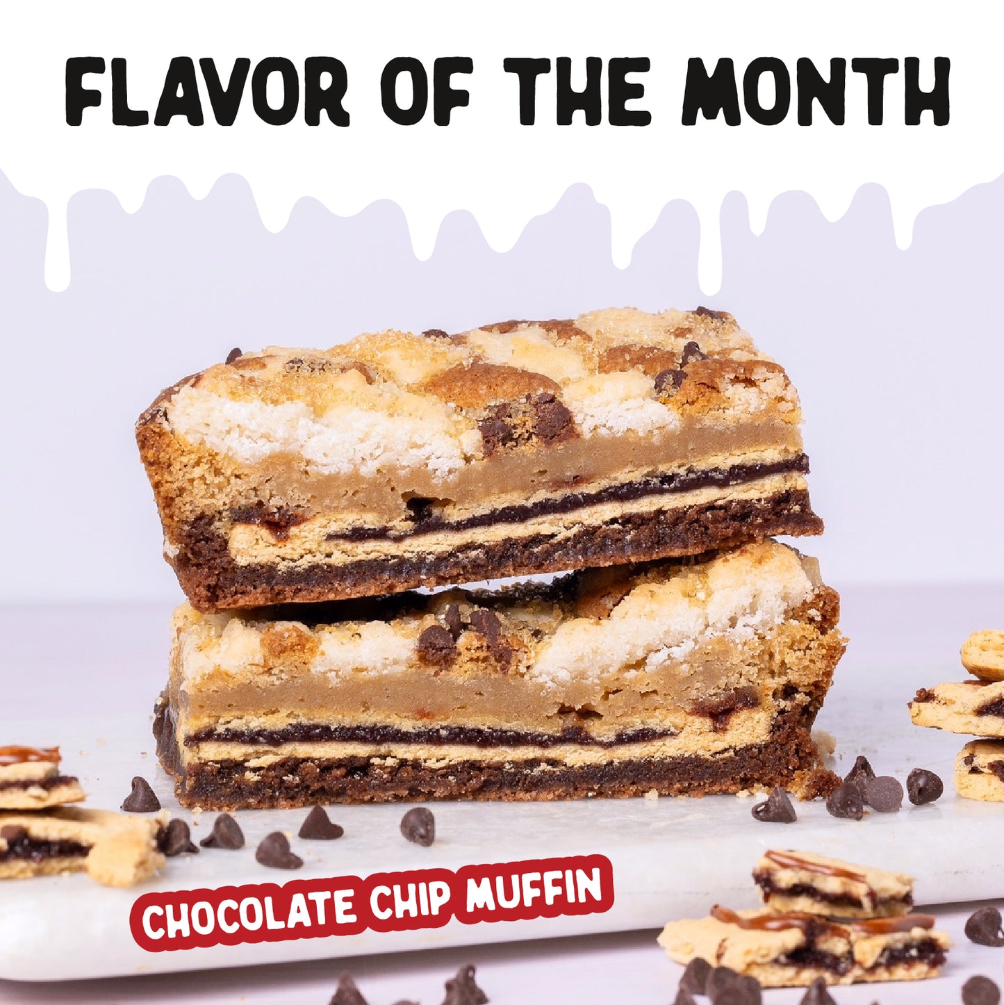 Chocolate Chip Muffin 4-Pack - CLOSEOUT - WILL SHIP 5/8