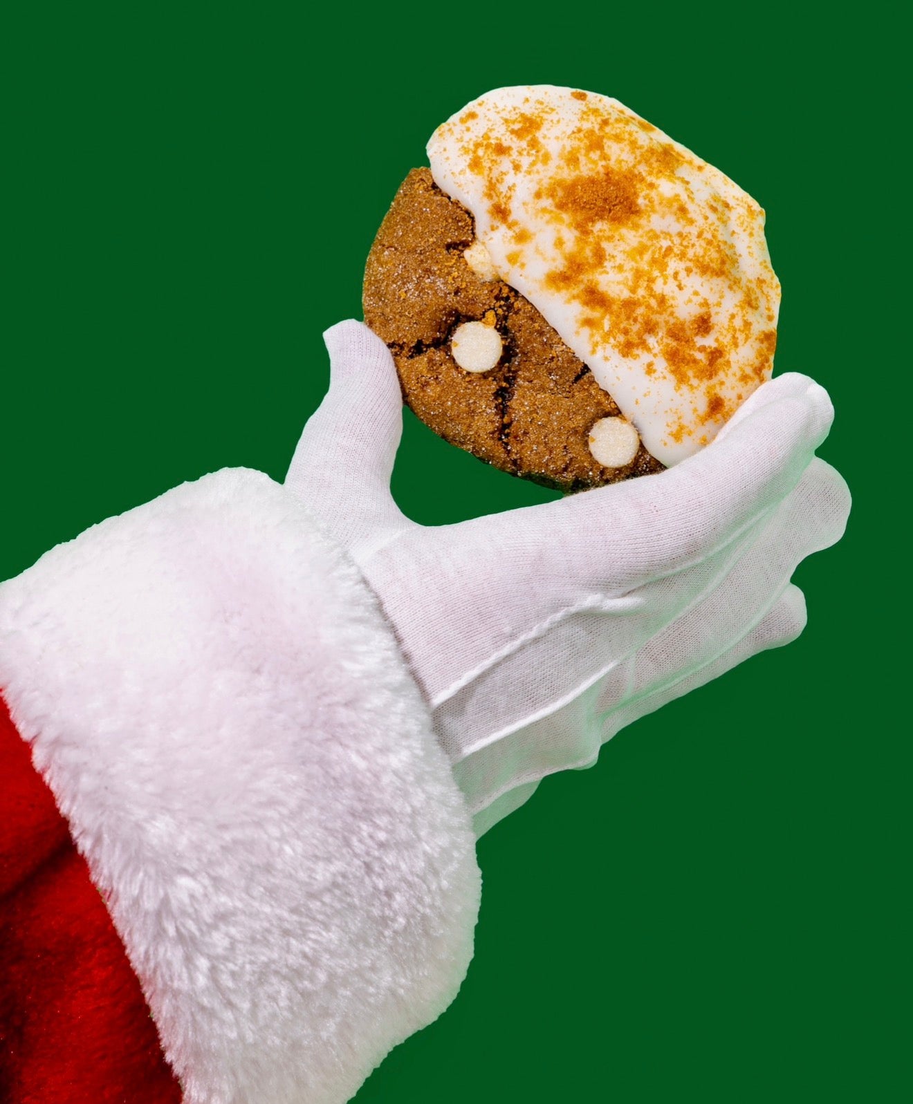 Gingerbread Bliss Cookies